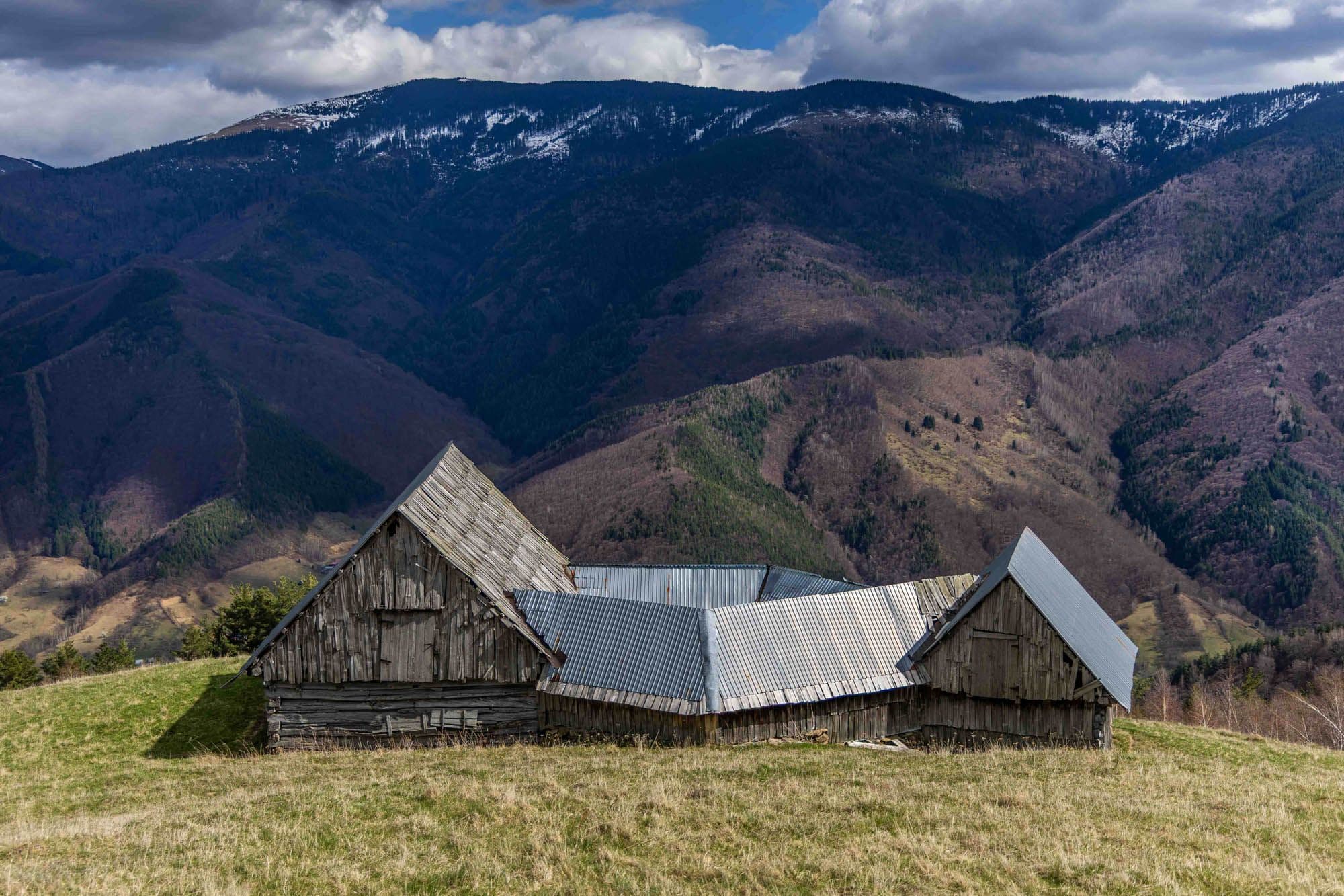 Coliba Runc///Țara Colibelor cover image