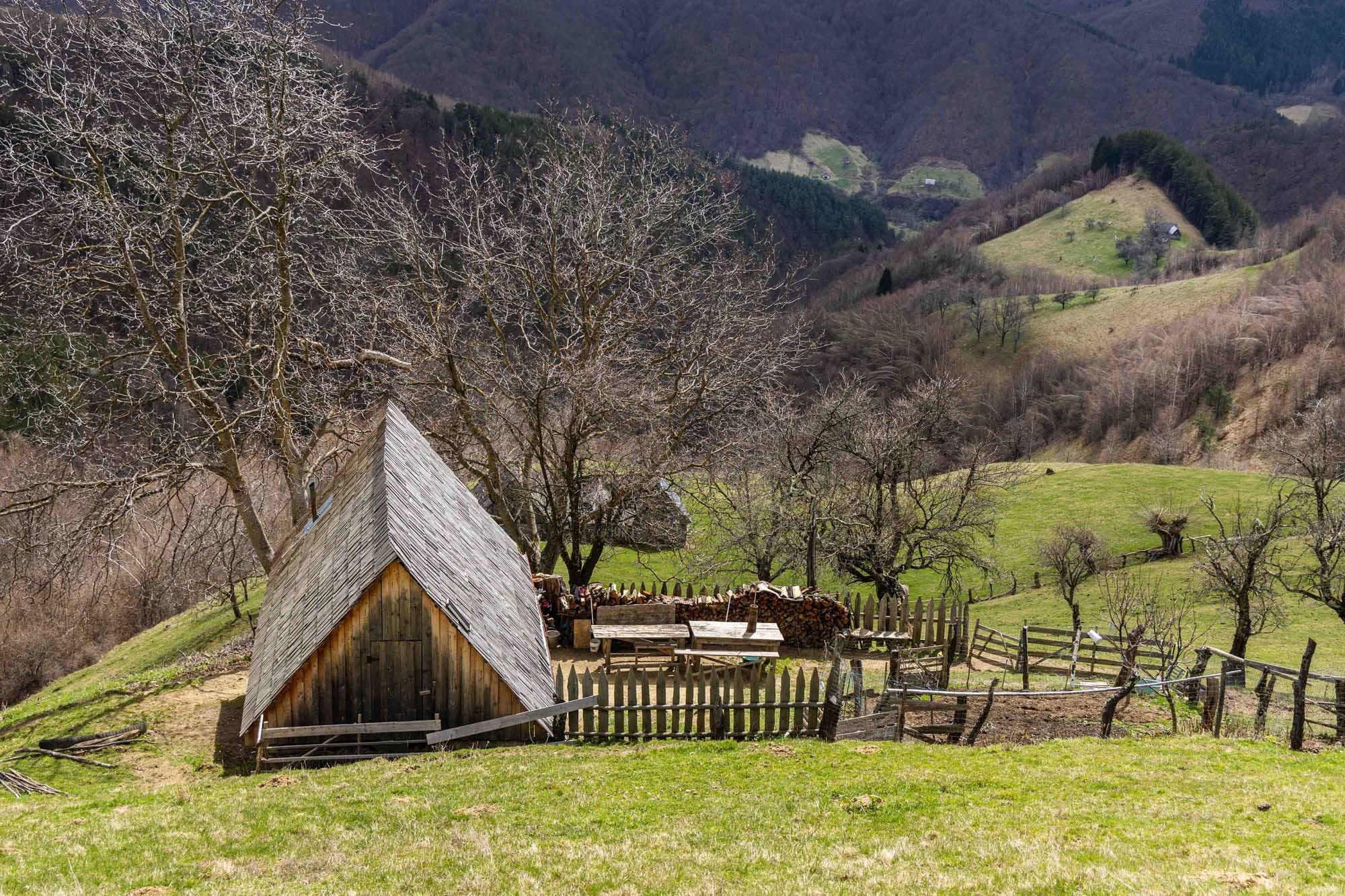 Coliba Hoadrea///Țara Colibelor cover image