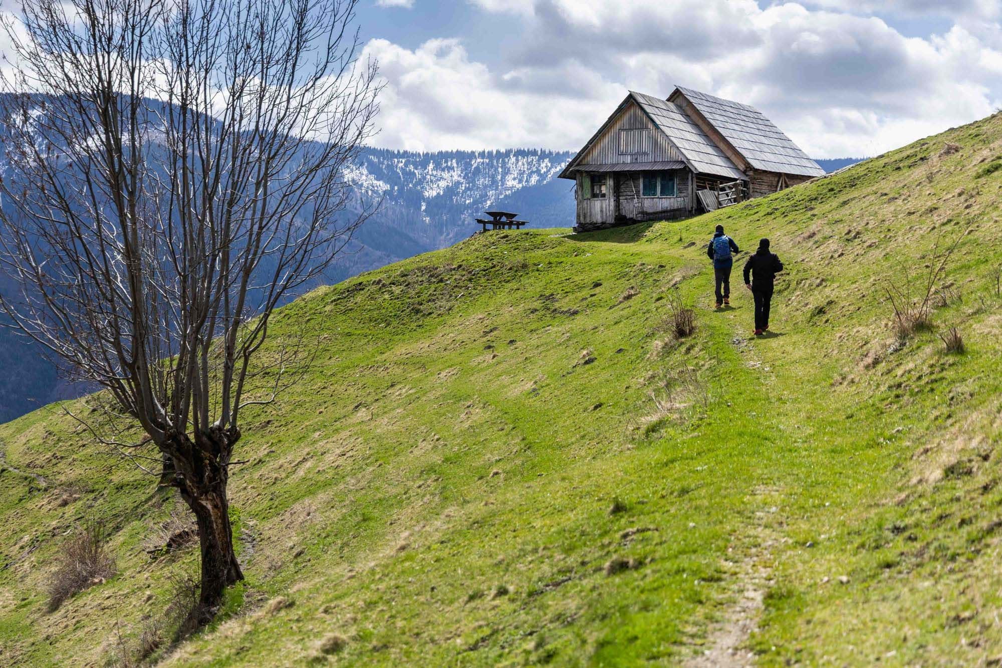 Coliba Tăroi///Țara Colibelor cover image