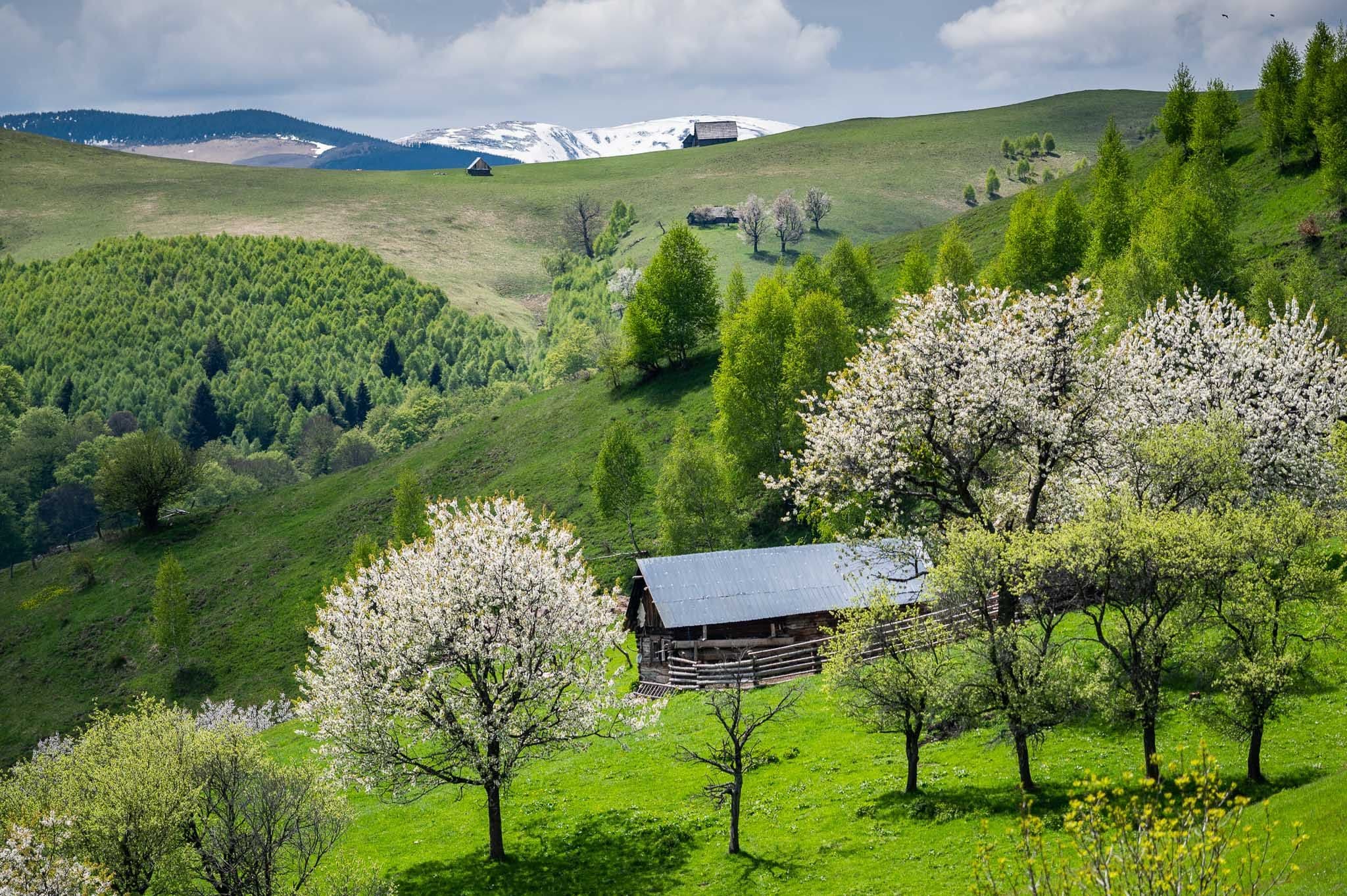 Drumeție ghidată în Țara Colibelor cover image