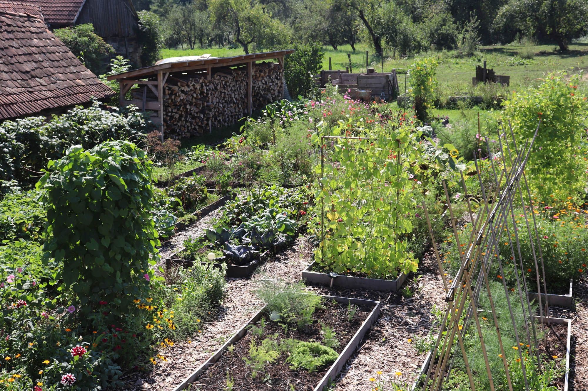 Grădina///Șomartin 159 cover image